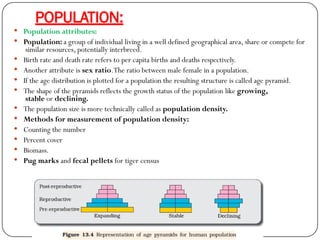 Organism and population class 12 biology.pptx