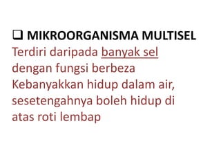 Organisma unisel dan multisel