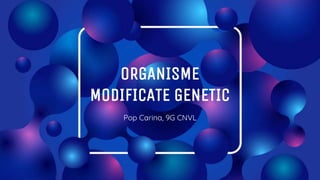 ORGANISME
MODIFICATE GENETIC
Pop Carina, 9G CNVL
 