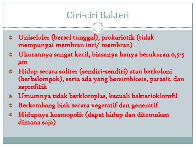 Organisme Prokariotik Dan Peranannya Dalam Kehidupan