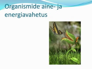 Organismide aine- ja energiavahetus 