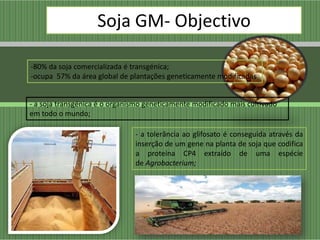 Soja GM- Objectivo

-80% da soja comercializada é transgénica;
-ocupa 57% da área global de plantações geneticamente modificadas


- a soja transgénica é o organismo geneticamente modificado mais cultivado
em todo o mundo;

                               - a tolerância ao glifosato é conseguida através da
                               inserção de um gene na planta de soja que codifica
                               a proteína CP4 extraído de uma espécie
                               de Agrobacterium;
 