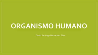 ORGANISMO HUMANO
David Santiago Hernandez Silva
 