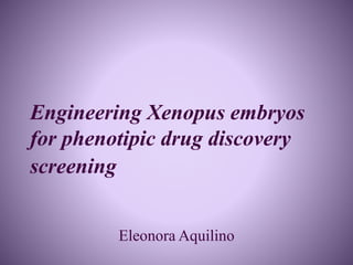 Engineering Xenopus embryos
for phenotipic drug discovery
screening
Eleonora Aquilino
 