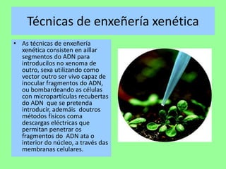 Técnicas de enxeñeríaxenéticaAs técnicas de enxeñeríaxenética consisten en aillar segmentos do ADN para introducilos no xenoma de outro, sexa utilizando como vector outro ser vivo capaz de inocular fragmentos do ADN, ou bombardeando as células con micropartículasrecubertas do ADN  que se pretenda introducir, ademáis  doutros métodos fisicos coma descargas eléctricas que permitan penetrar os fragmentos do  ADN ata o interior do núcleo, a través das membranas celulares.
