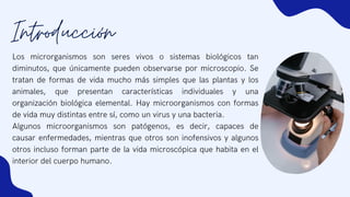 Los microrganismos son seres vivos o sistemas biológicos tan
diminutos, que únicamente pueden observarse por microscopio. Se
tratan de formas de vida mucho más simples que las plantas y los
animales, que presentan características individuales y una
organización biológica elemental. Hay microorganismos con formas
de vida muy distintas entre sí, como un virus y una bacteria.
Algunos microorganismos son patógenos, es decir, capaces de
causar enfermedades, mientras que otros son inofensivos y algunos
otros incluso forman parte de la vida microscópica que habita en el
interior del cuerpo humano.
Introducción
 