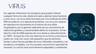 Son agentes infecciosos microscópicos que pueden infectar
cualquier forma de vida, desde animales y plantas hasta bacterias
y otros virus. Los virus están formados por una molécula de ADN o
ARN envuelta en una cápsula de proteínas. Los virus son capaces
de reproducirse únicamente en el interior de una célula
hospedadora, por lo general valiéndose de sus mecanismos de
replicación genética y ocasionándole daños en el proceso. Se han
descrito más de 5000 especies de virus desde su descubrimiento
en 18991. Aunque los virus son diversos en su forma y estructura,
suelen ser unas cien veces más pequeños que las bacterias.
Existen cuatro formas posibles de virus: helicoidal, icosaédrica, con
envoltura y complejos. Los virus poseen una enorme capacidad de
mutación, lo cual los hace enormemente adaptables y cambiantes
Virus
 