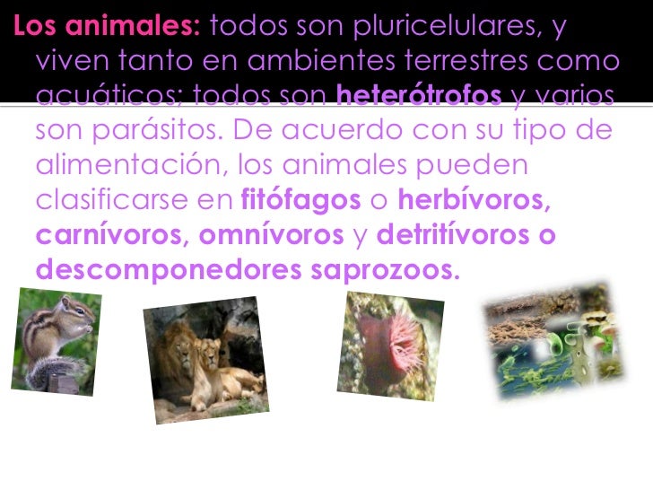 La lista para los niños de las lombrices