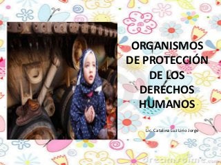 ORGANISMOS
DE PROTECCIÓN
DE LOS
DERECHOS
HUMANOS
Lic. Catalina Luz Lirio Jorge

 