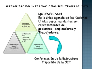 ORGANIZACIÓN INTERNACIONAL DEL TRABAJO (OIT) QUIENES SON Es la única agencia de las Naciones  Unidas cuyos mandantes son  representantes de gobiernos, empleadores y  Trabajadores. Estados, miebros Conformacion De la Estructura Tripartita de La OIT Organizaciones de Empleadores Organizaciones de Trabajadores Conformación de la Estructura Tripartita de la OIT 