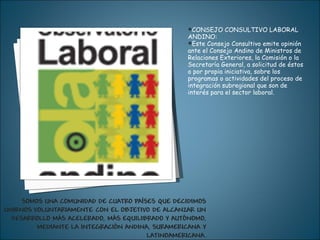 CONSEJO CONSULTIVO LABORAL ANDINO: Este Consejo Consultivo emite opinión ante el Consejo Andino de Ministros de Relaciones Exteriores, la Comisión o la Secretaría General, a solicitud de éstos o por propia iniciativa, sobre los programas o actividades del proceso de integración subregional que son de interés para el sector laboral. 
