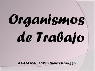 Organismos
de Trabajo
ALUMNA: Vilca Sierra Vanessa
 