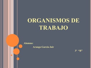 ORGANISMOS DE
     TRABAJO

Alumno:
      Arango García Jair
                           3º “B”
 