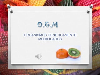 O.G.M ORGANISMOS GENETICAMENTE MODIFICADOS 