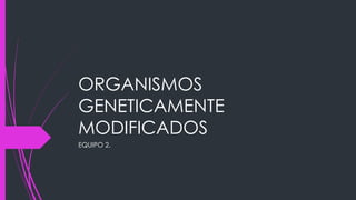 ORGANISMOS
GENETICAMENTE
MODIFICADOS
EQUIPO 2.
 