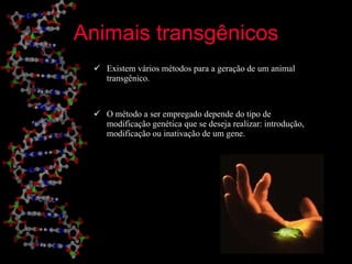 Animais transgênicos Existem vários métodos para a geração de um animal transgênico.  O método a ser empregado depende do tipo de modificação genética que se deseja realizar: introdução, modificação ou inativação de um gene. 