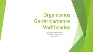 Organismos
Genéticamente
Modificados
Juan Bernardo Jaramillo Rodríguez
Estudiante de Biomedicina BUAP
Generación 2013
 