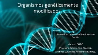 Organismos genéticamente
modificados.
Benemérita Universidad Autónoma de
Puebla.
Materia: DHTIC.
Profesora: Patricia Silva Sánchez.
Alumno: Luis Felipe Hernández Ramírez.
 