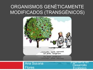 ORGANISMOS GENÉTICAMENTE 
MODIFICADOS (TRANSGÉNICOS) 
Ana Susana 
Flores 
Ingeniería en 
Desarrollo 
Ecológico 
 
