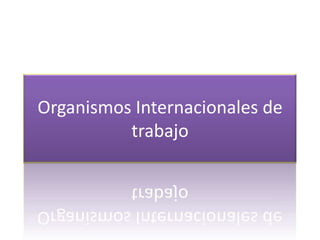 Organismos Internacionales de
          trabajo
 