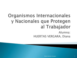 Alumna:
HUERTAS VERGARA, Diana




      Diana Huertas Vergara   1
 