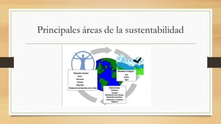 Principales áreas de la sustentabilidad
 