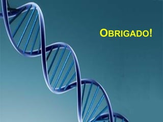 Obrigado!
