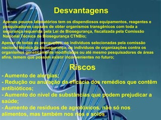 DesvantagensApenas poucos laboratórios tem os dispendiosos equipamentos, reagentes e pesquisadores capazes de obter organismos transgênicos com toda a segurança requerida pela Lei de Biosegurança, fiscalizada pela Comissão Nacional Técnica de BiosegurançaCTNBio;Apesar de todas as precauções, os indivíduos selecionadas pela comissão nacional técnica da biosegurança, os indivíduos de organizações contra os organismos geneticamente modificados ou até mesmo pesquisadores de áreas afins, temem que possam existir inconvenientes no futuro;Riscos- Aumento de alergias;- Redução ou anulação da eficácia dos remédios que contêm antibióticos;- Aumento do nível de substâncias que podem prejudicar a saúde;- Aumento de resíduos de agrotóxicos, não só nos alimentos, mas também nos rios e solos