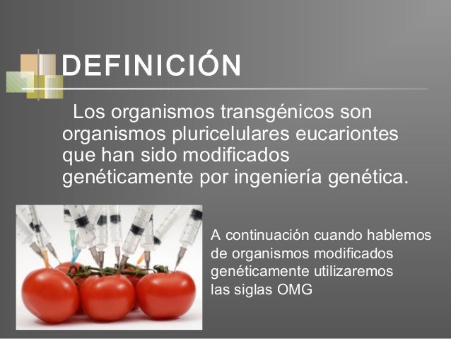 Organismos transgénicos