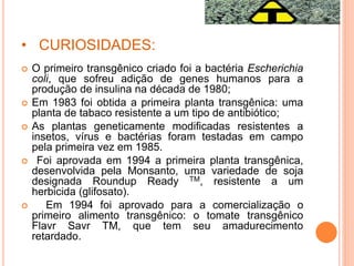 • CURIOSIDADES:
 O primeiro transgênico criado foi a bactéria Escherichia
coli, que sofreu adição de genes humanos para a
produção de insulina na década de 1980;
 Em 1983 foi obtida a primeira planta transgênica: uma
planta de tabaco resistente a um tipo de antibiótico;
 As plantas geneticamente modificadas resistentes a
insetos, vírus e bactérias foram testadas em campo
pela primeira vez em 1985.
 Foi aprovada em 1994 a primeira planta transgênica,
desenvolvida pela Monsanto, uma variedade de soja
designada Roundup Ready TM, resistente a um
herbicida (glifosato).
 Em 1994 foi aprovado para a comercialização o
primeiro alimento transgênico: o tomate transgênico
Flavr Savr TM, que tem seu amadurecimento
retardado.
 
