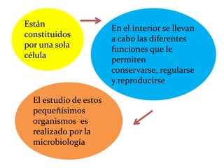 En el interior se llevan
a cabo las diferentes
funciones que le
permiten
conservarse, regularse
y reproducirse
El estudio de estos
pequeñísimos
organismos es
realizado por la
microbiología
Están
constituidos
por una sola
célula
 