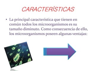 CARACTERÍSTICAS
• La principal característica que tienen en
común todos los microorganismos es su
tamaño diminuto. Como consecuencia de ello,
los microorganismos poseen algunas ventajas:
 