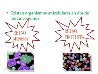 • Existen organismos unicelulares en dos de
los cinco reinos:
REINO
MONERA
REINO
PROTISTA
 