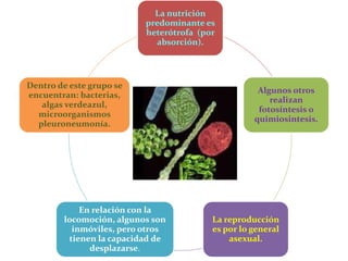 La nutrición
predominante es
heterótrofa (por
absorción).
Algunos otros
realizan
fotosíntesis o
quimiosintesis.
La reproducción
es por lo general
asexual.
En relación con la
locomoción, algunos son
inmóviles, pero otros
tienen la capacidad de
desplazarse.
Dentro de este grupo se
encuentran: bacterias,
algas verdeazul,
microorganismos
pleuroneumonía.
 