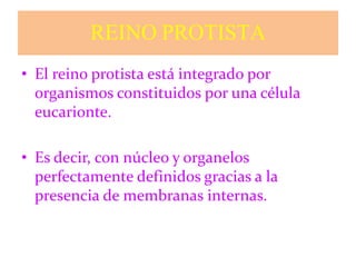 REINO PROTISTA
• El reino protista está integrado por
organismos constituidos por una célula
eucarionte.
• Es decir, con núcleo y organelos
perfectamente definidos gracias a la
presencia de membranas internas.
 
