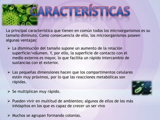 La principal característica que tienen en común todos los microorganismos es su
tamaño diminuto. Como consecuencia de ello, los microorganismos poseen
algunas ventajas:
 La disminución del tamaño supone un aumento de la relación
superficie/volumen. Y, por ello, la superficie de contacto con el
medio externo es mayor, lo que facilita un rápido intercambio de
sustancias con el exterior.
 Las pequeñas dimensiones hacen que los compartimentos celulares
estén muy próximos, por lo que las reacciones metabólicas son
rápidas.
 Se multiplican muy rápido.
 Pueden vivir en multitud de ambientes; algunos de ellos de los más
inhóspitos en los que es capaz de crecer un ser vivo
 Muchos se agrupan formando colonias.
 