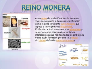 es un reino de la clasificación de los seres
vivos para algunos sistemas de clasificación
como el de la influyente Lynn Margulis que
agrupa a los organismos procariotas.
El término actual equivalente es procariota y
se define como el reino de organismos
microscópicos que habitan todos los ambientes
y que están formados por una sola célula
sin núcleo definido (célula procariota).
 