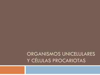 ORGANISMOS UNICELULARES
Y CÉLULAS PROCARIOTAS
 