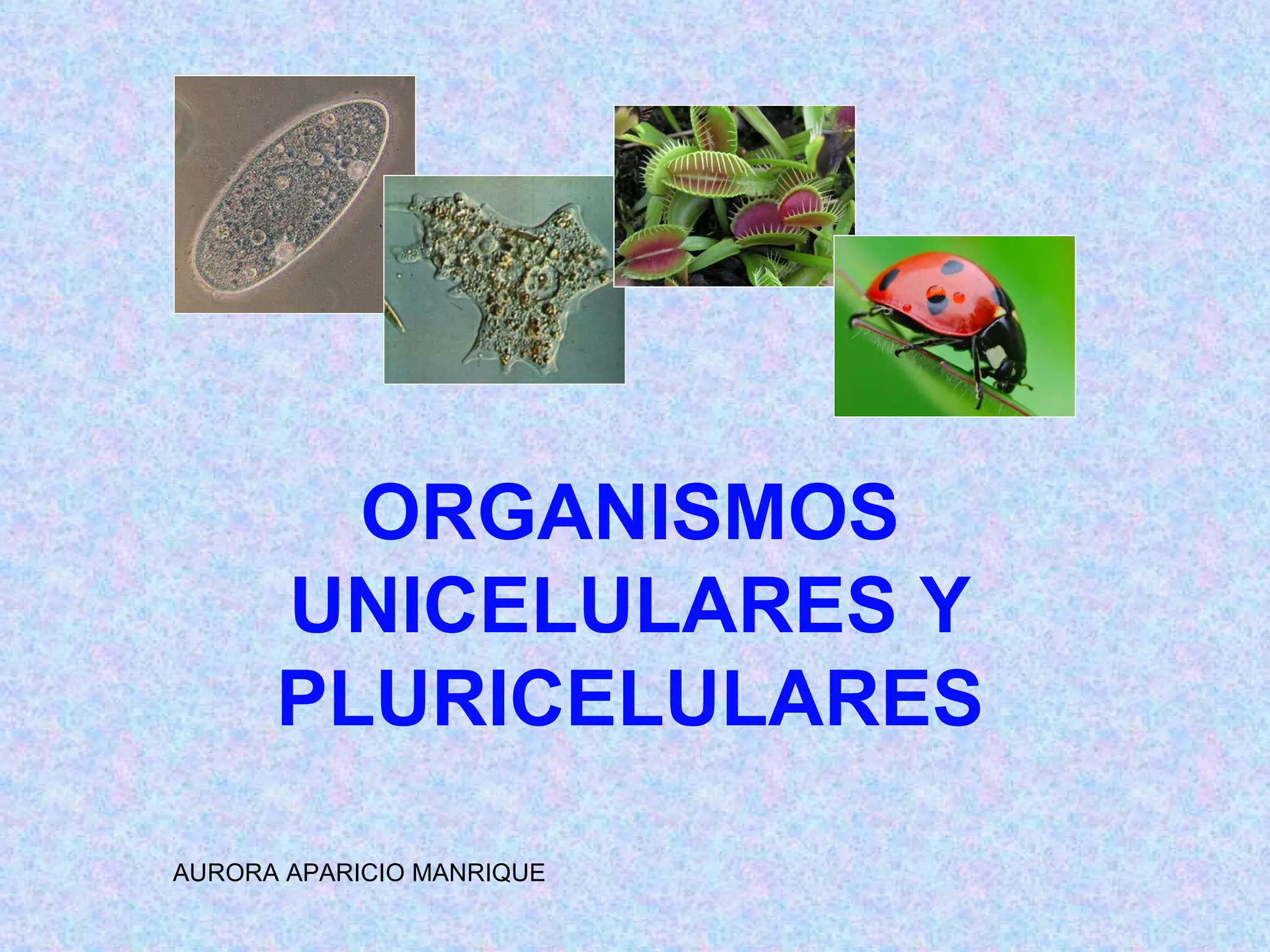 Organismos unicelulares y pluricelulares | PPT