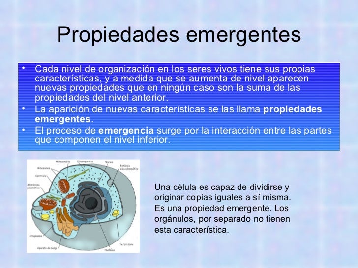Organismos unicelulares y pluricelulares