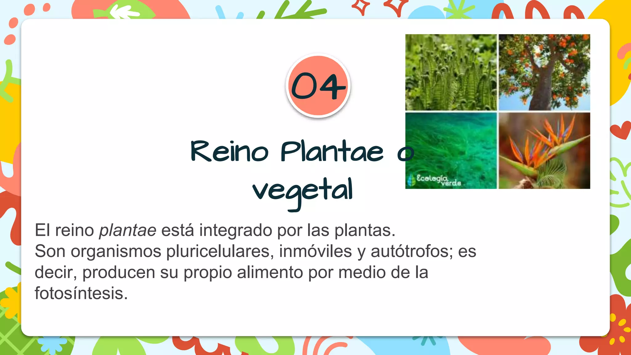 Organismos unicelulares y pluricelulares.pptx