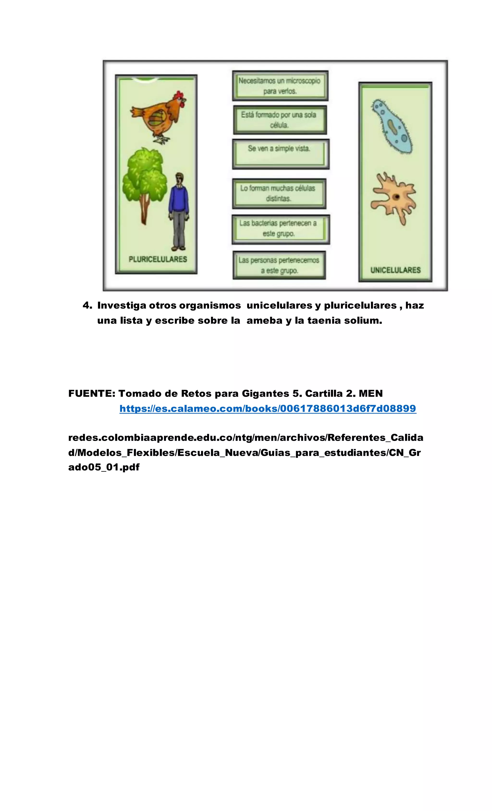 Organismos unicelulares y pluricelulares guia 3 | DOCX