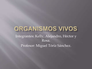 Integrantes: Kelly, Alejandro, Héctor y
Rosa.
Profesor: Miguel Tóriz Sánchez.
 