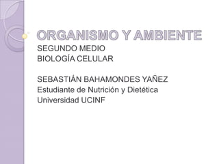 SEGUNDO MEDIO
BIOLOGÍA CELULAR
SEBASTIÁN BAHAMONDES YAÑEZ
Estudiante de Nutrición y Dietética
Universidad UCINF
 