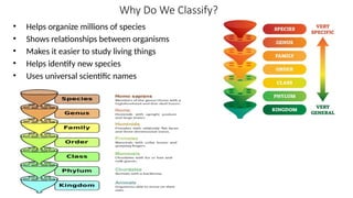 Organisms-and-Classification--Understanding-Life-s-Diversity.pptx