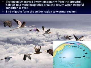 Migrate
• The organism moved away temporarily from the stressful
habitat to a more hospitable area and return when stressful
condition is over.
• Bird migrate form the colder region to warmer region.
muralishingri@gmail.com
 