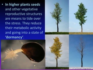 • In higher plants seeds
and other vegetative
reproductive structures
are means to tide over
the stress. They reduce
their metabolic activity
and going into a state of
‘dormancy’.
muralishingri@gmail.com
 