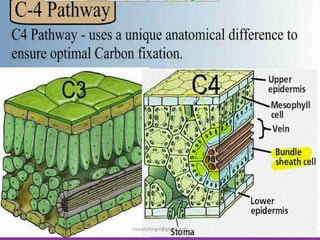 muralishingri@gmail.com
 