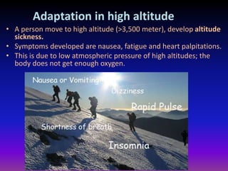 Adaptation in high altitude
• A person move to high altitude (>3,500 meter), develop altitude
sickness.
• Symptoms developed are nausea, fatigue and heart palpitations.
• This is due to low atmospheric pressure of high altitudes; the
body does not get enough oxygen.
muralishingri@gmail.com
 