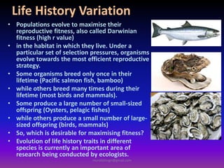 Life History Variation
• Populations evolve to maximise their
reproductive fitness, also called Darwinian
fitness (high r value)
• in the habitat in which they live. Under a
particular set of selection pressures, organisms
evolve towards the most efficient reproductive
strategy.
• Some organisms breed only once in their
lifetime (Pacific salmon fish, bamboo)
• while others breed many times during their
lifetime (most birds and mammals).
• Some produce a large number of small-sized
offspring (Oysters, pelagic fishes)
• while others produce a small number of large-
sized offspring (birds, mammals)
• So, which is desirable for maximising fitness?
• Evolution of life history traits in different
species is currently an important area of
research being conducted by ecologists.
muralishingri@gmail.com
 